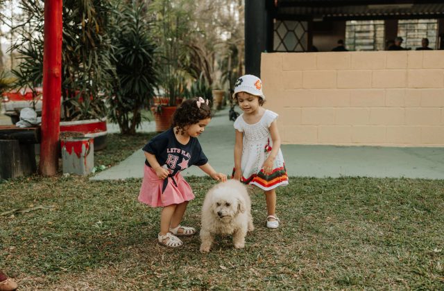 „Ora cu și pentru animale” a ajuns la Școala din Gruiu