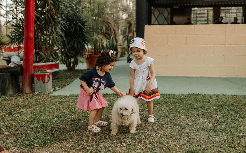 „Ora cu și pentru animale” a ajuns la Școala din Gruiu. CJ Ilfov extinde campania educativă în școlile fără materia opțională