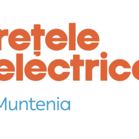 Rețele electrice Muntenia