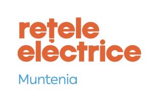 Rețele electrice Muntenia