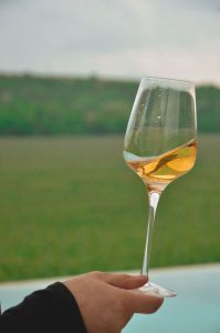 Crame și degustări de vinuri în Ilfov