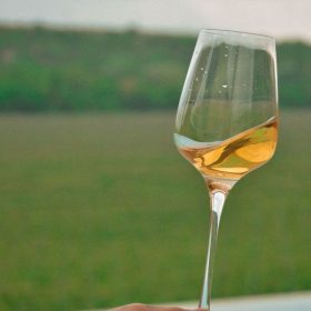 Crame și degustări de vinuri în Ilfov