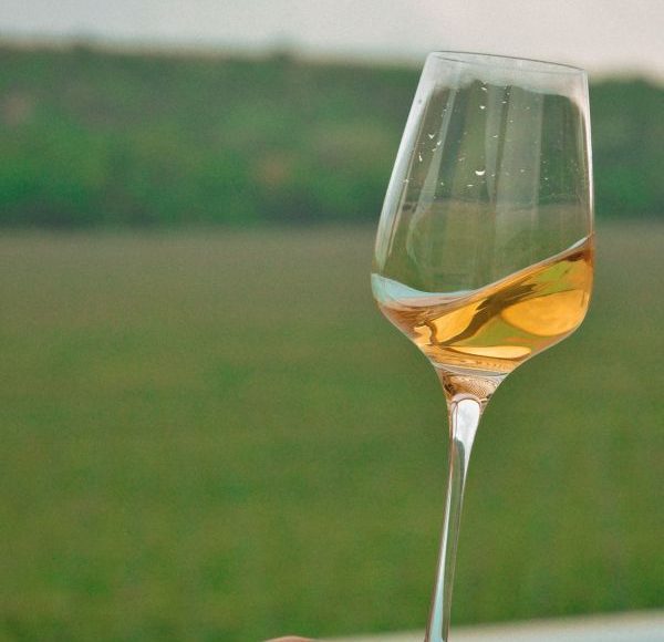 Crame și degustări de vinuri în Ilfov