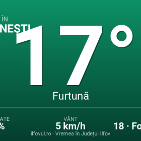 Domnești