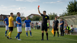 AJF Ilfov a sancționat șapte jucători și trei cluburi. Dosarul CS Cernica rămâne în pronunțare