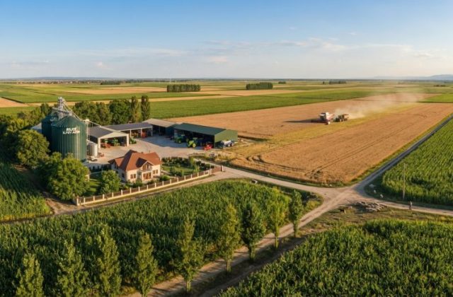 Investiție în teren agricol în Ilfov 2026 - prețuri, schimbare destinație, ROI