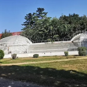 Serele Bibescu Mogoșoaia