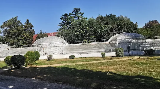 Serele Bibescu Mogoșoaia
