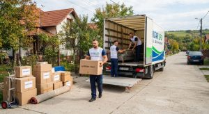 Servicii mutare în Ilfov