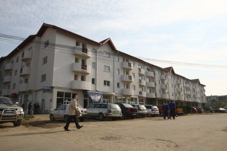 tineri în Bragadiru