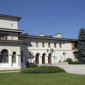 CJ Ilfov propune 150.000 de lei pentru un summit despre inteligența artificială, organizat la Palatul Snagov