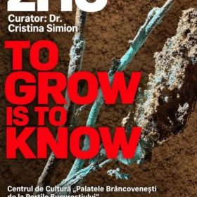 Florin Zho To Grow Is To Know