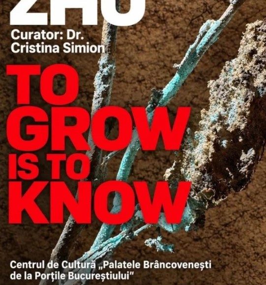 Florin Zho To Grow Is To Know