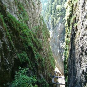 Cheile Orzei - Ilfoveni - Județul Ilfov - ilfovul.ro