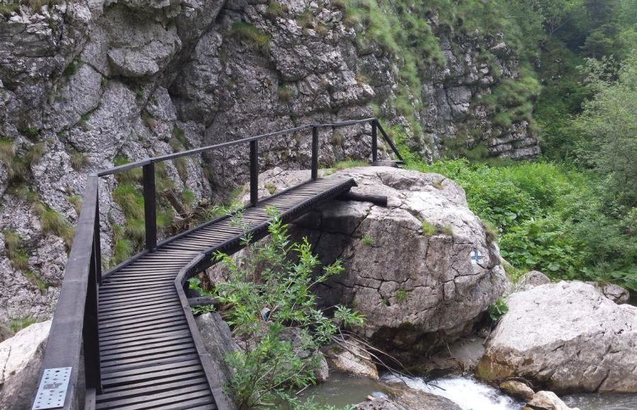 Cheile Zănoaga - Ilfoveni - Județul Ilfov - ilfovul.ro